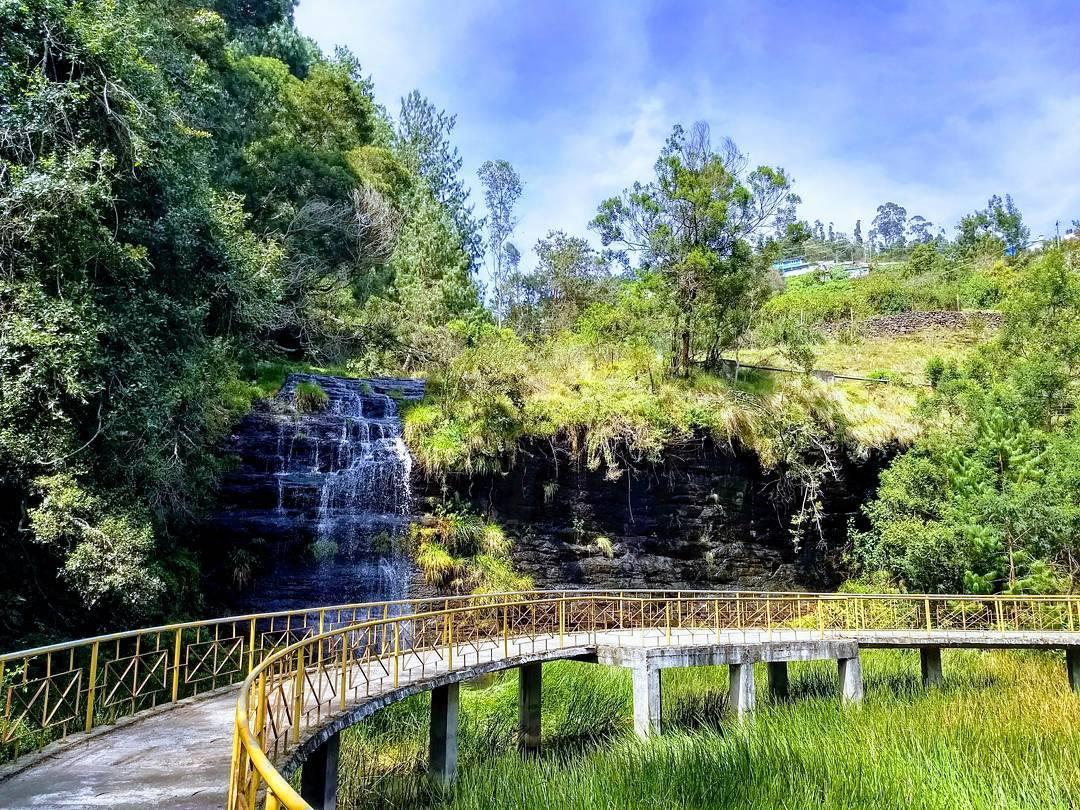 Fairy Falls