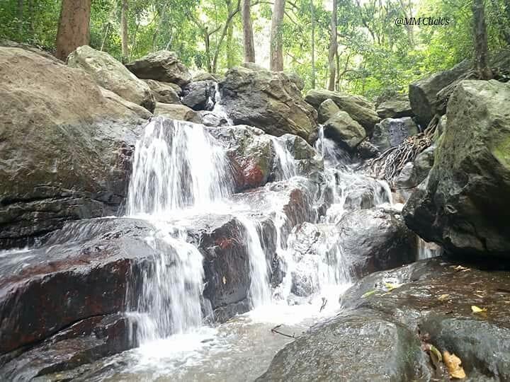 Nature Trails