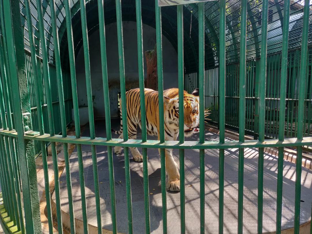 Thiruvananthapuram Zoo Thiruvananthapuram Zoo