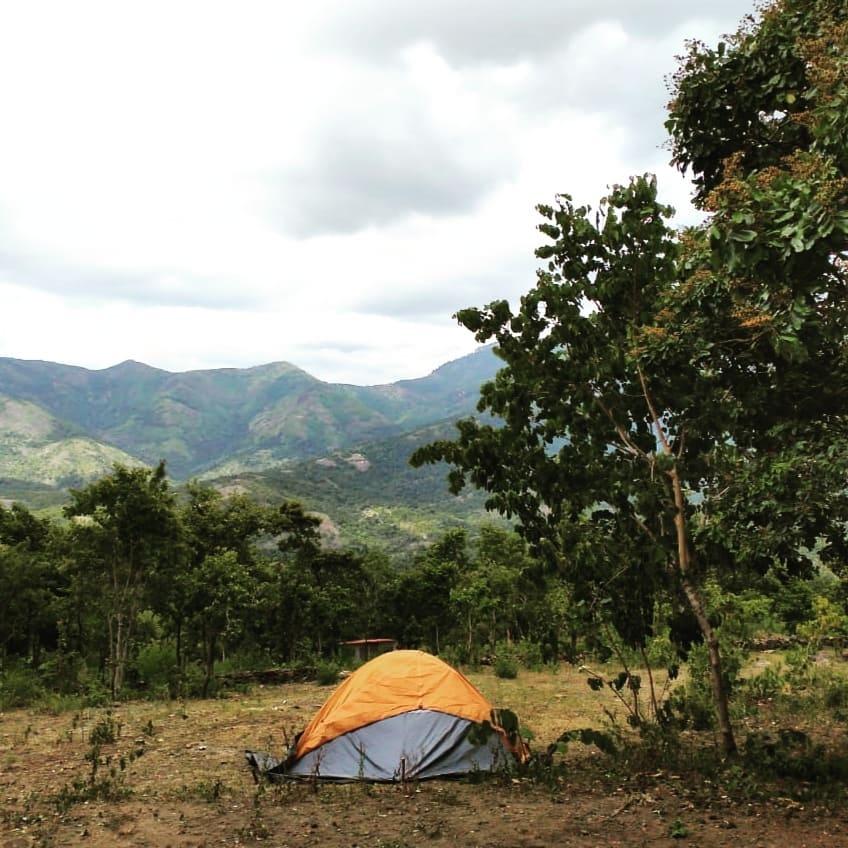 spice valley landscape